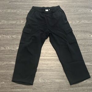 Aritzia TNA cargo sweatpants